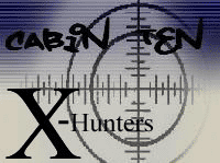 cabin-10-flag3-copy.gif